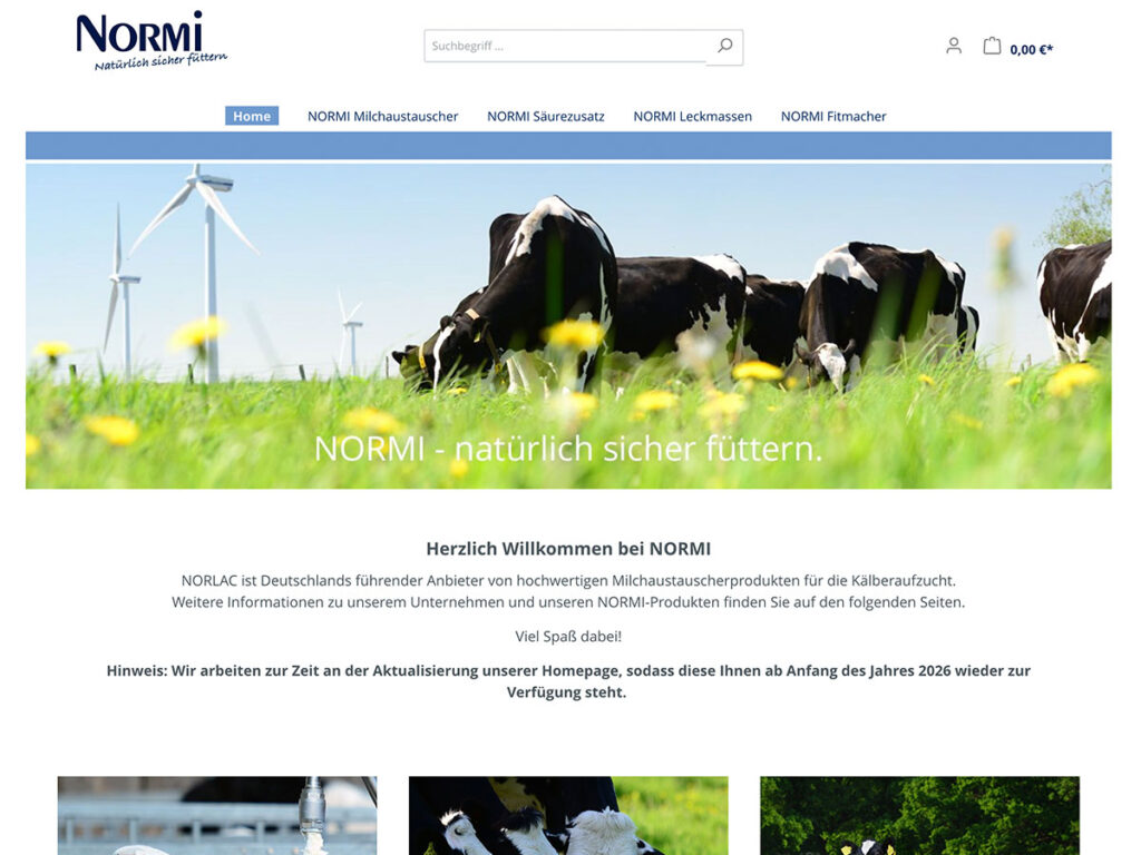 2015 wird der Onlineshop von NORMI gestartet