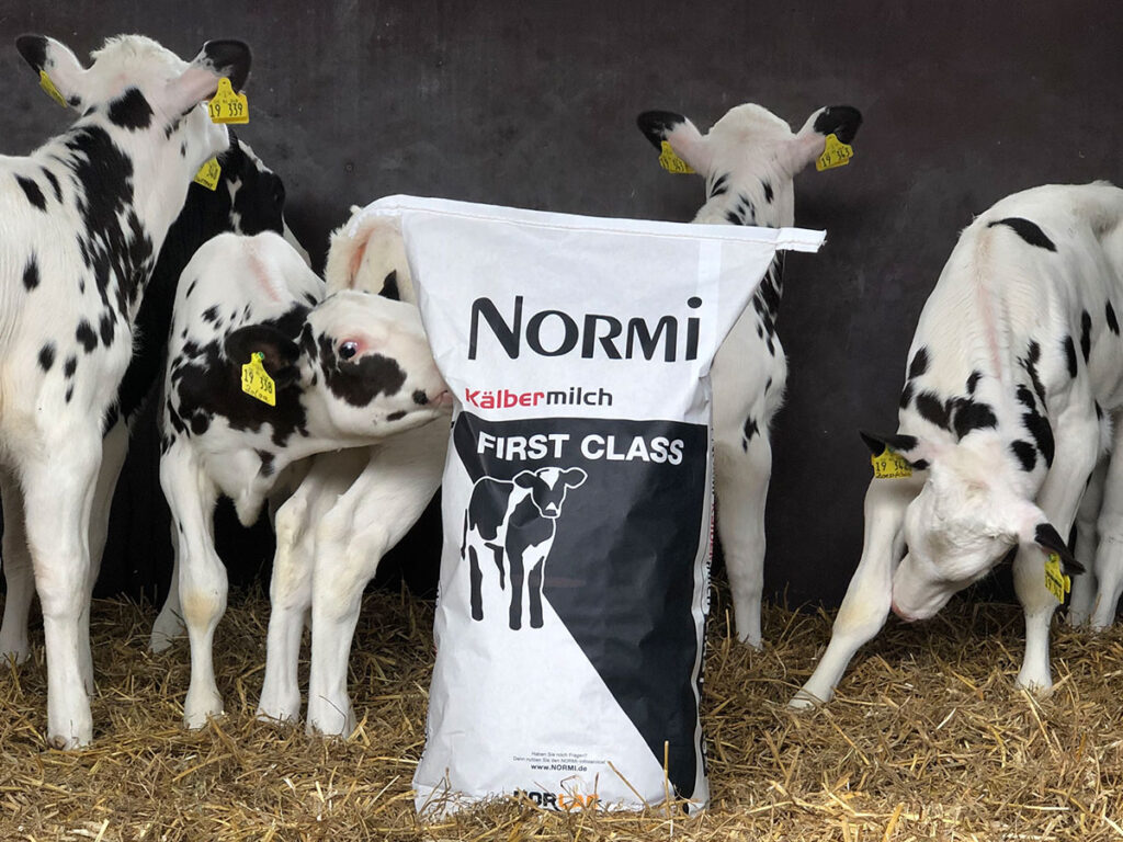 Schwarzbunte Kälber mit einem Sack von NORMI First Class, eingeführt 2018