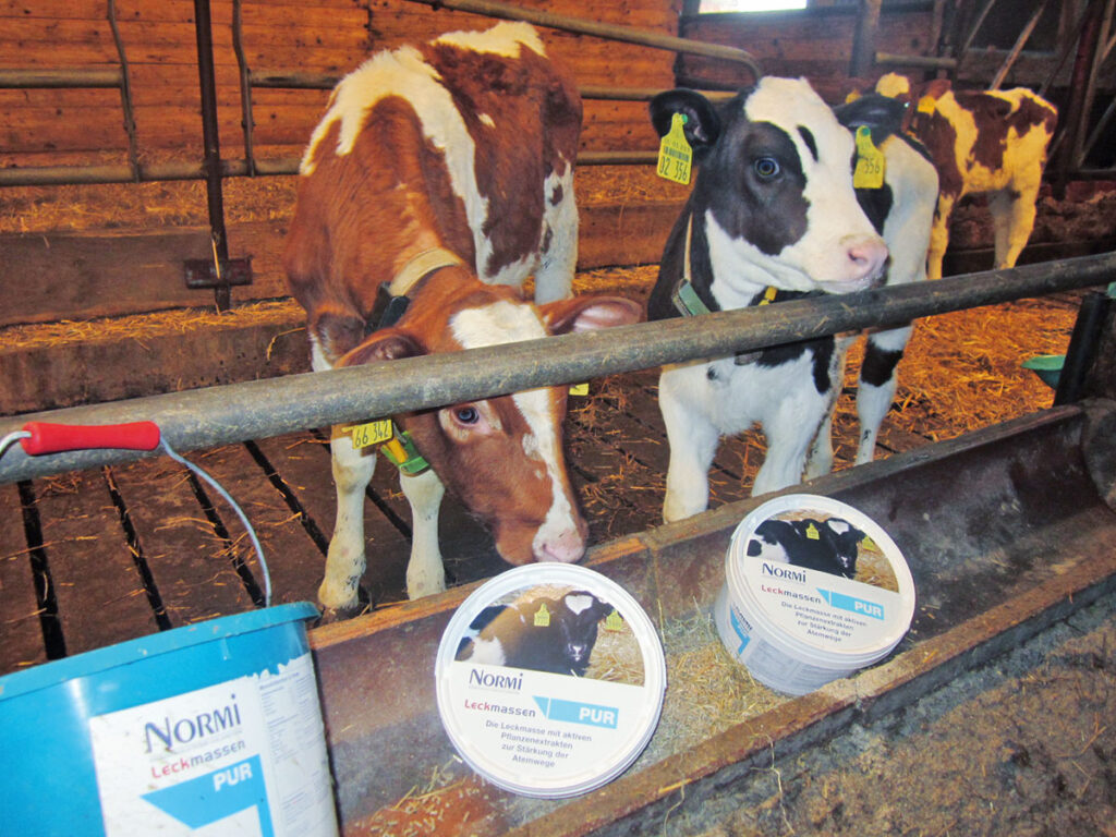 Kälber mit den 2001 eingeführten Leckmassen von NORMI