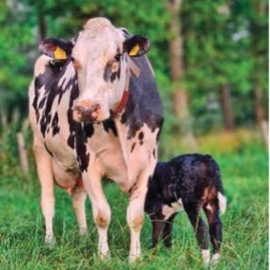 Fit für die Zukunft