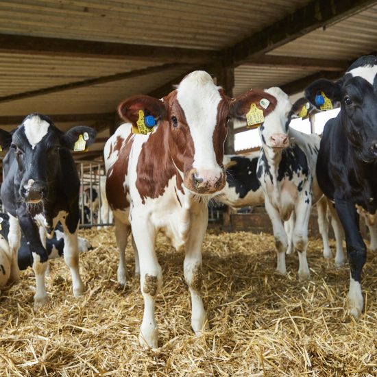 c704ca5586899f770265cd6640c3eabbf7c77b28